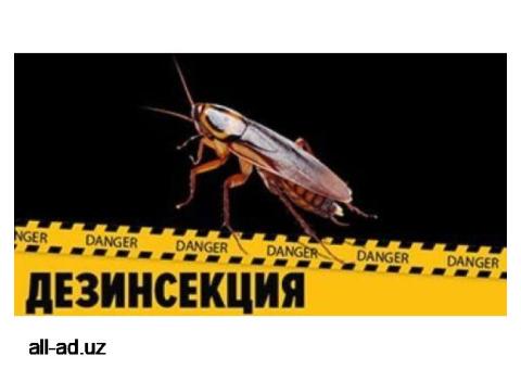 Дезинфекция избавиться клопы тараканы мыши крысы Dezinfeksiya