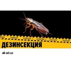 Дезинфекция избавиться клопы тараканы мыши крысы Dezinfeksiya
